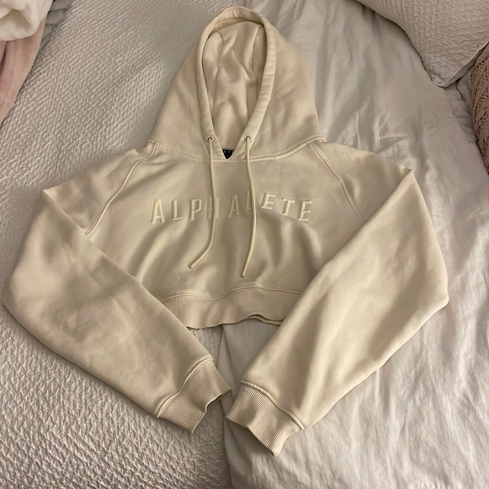 Alphalete crop hoodie